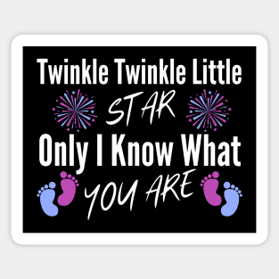 Twinkle Twinkle Little Star Only I Know Gender Keeper Reveal Sticker